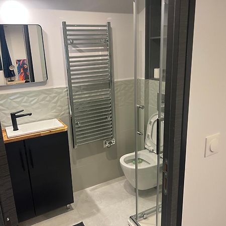 Apartament Loft Entier Nancy Centre Et Parking Zewnętrze zdjęcie